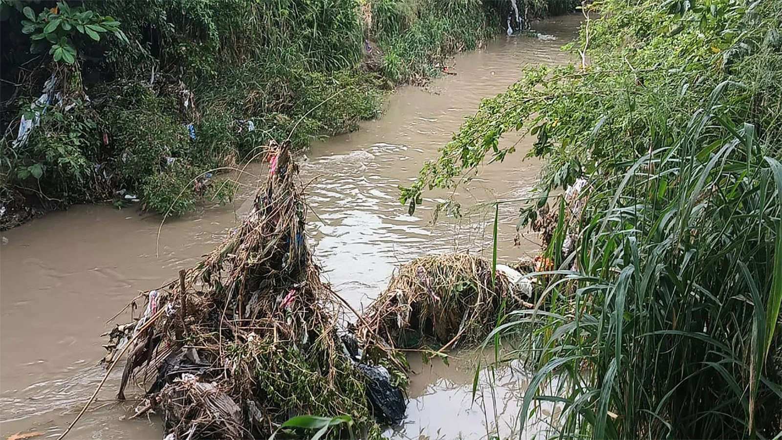 Ingrese un texto descriptivo de la imagen