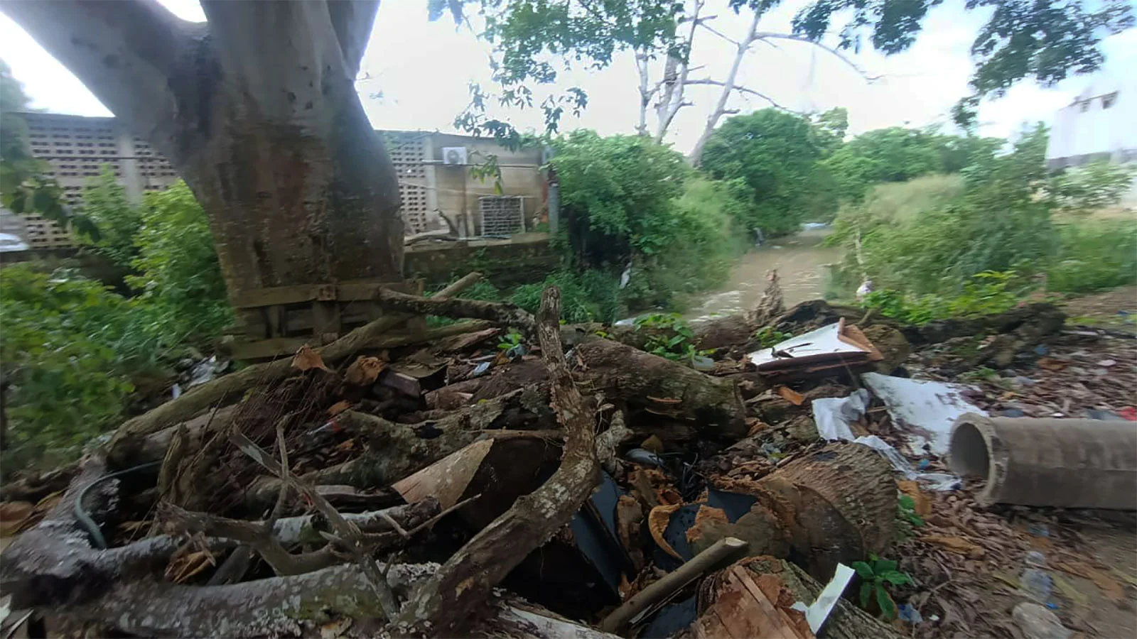 Ingrese un texto descriptivo de la imagen