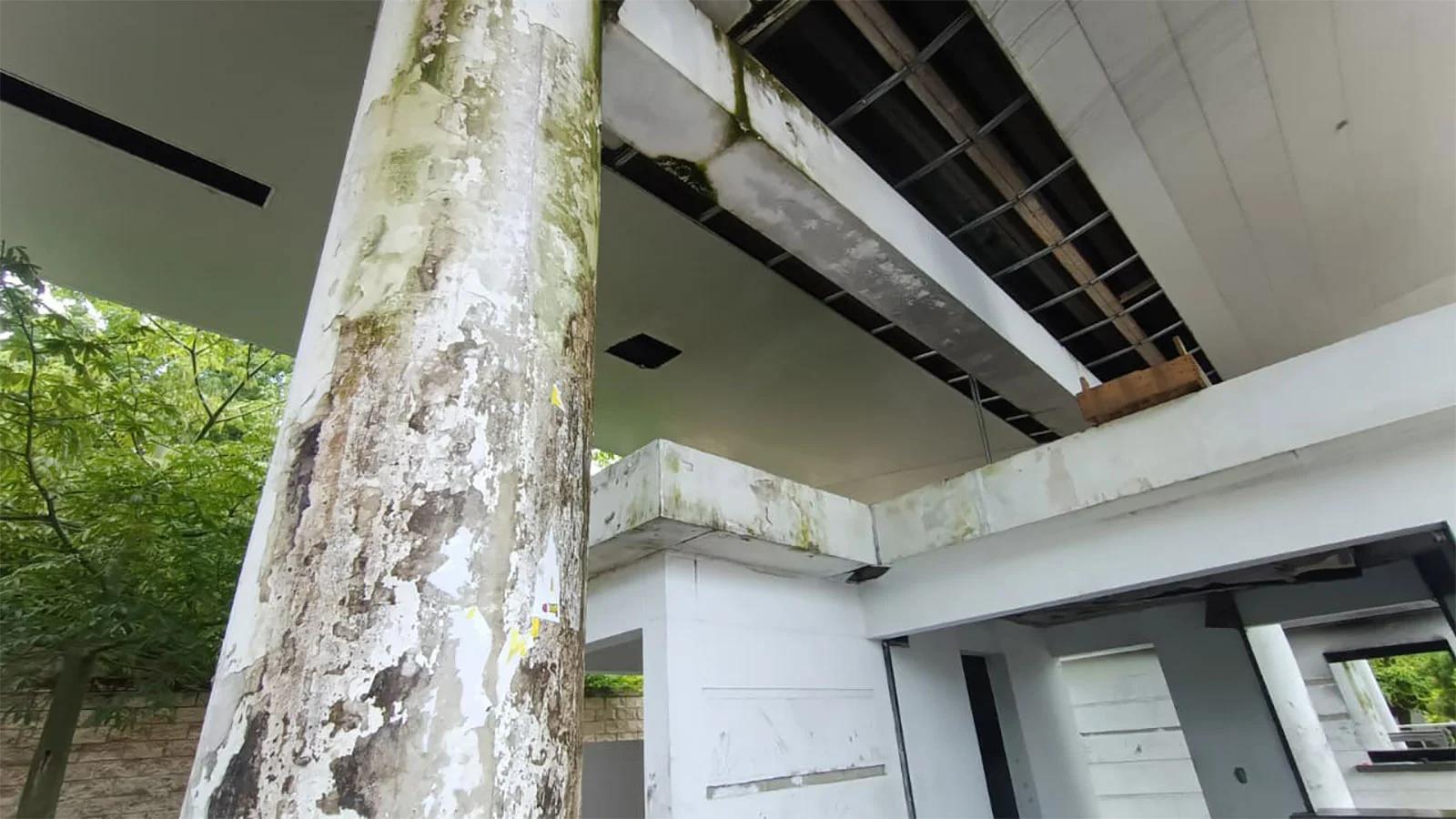 Ingrese un texto descriptivo de la imagen